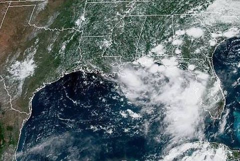 Hurricane Barry: NOAA releases warning - will tropical disturbance become hurricane Barry?
