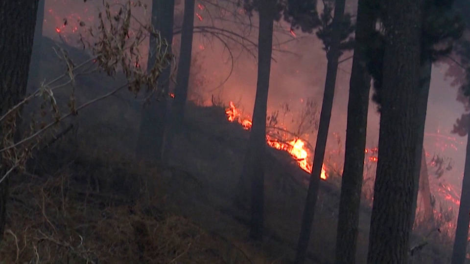 State Dept blocks U.S. diplomat impeachment probe testimony: lawyer